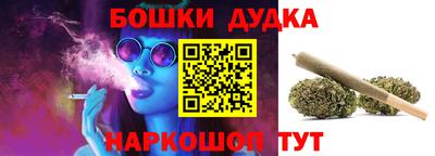 гидра Будённовск