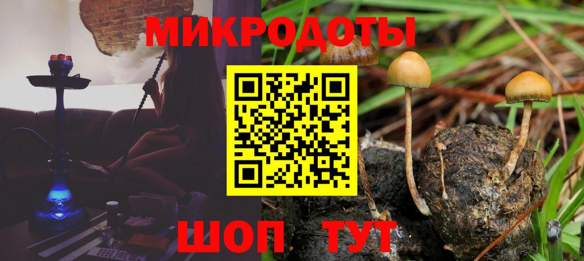 Галлюциногенные грибы MAGIC MUSHROOMS Нижний Тагил